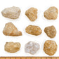 DANCING BEAR Break Your Own Geodes - 8 XL (2.5-3.5") with Educational Info & Surprise Crystals - Fun Party Favors & Prizes