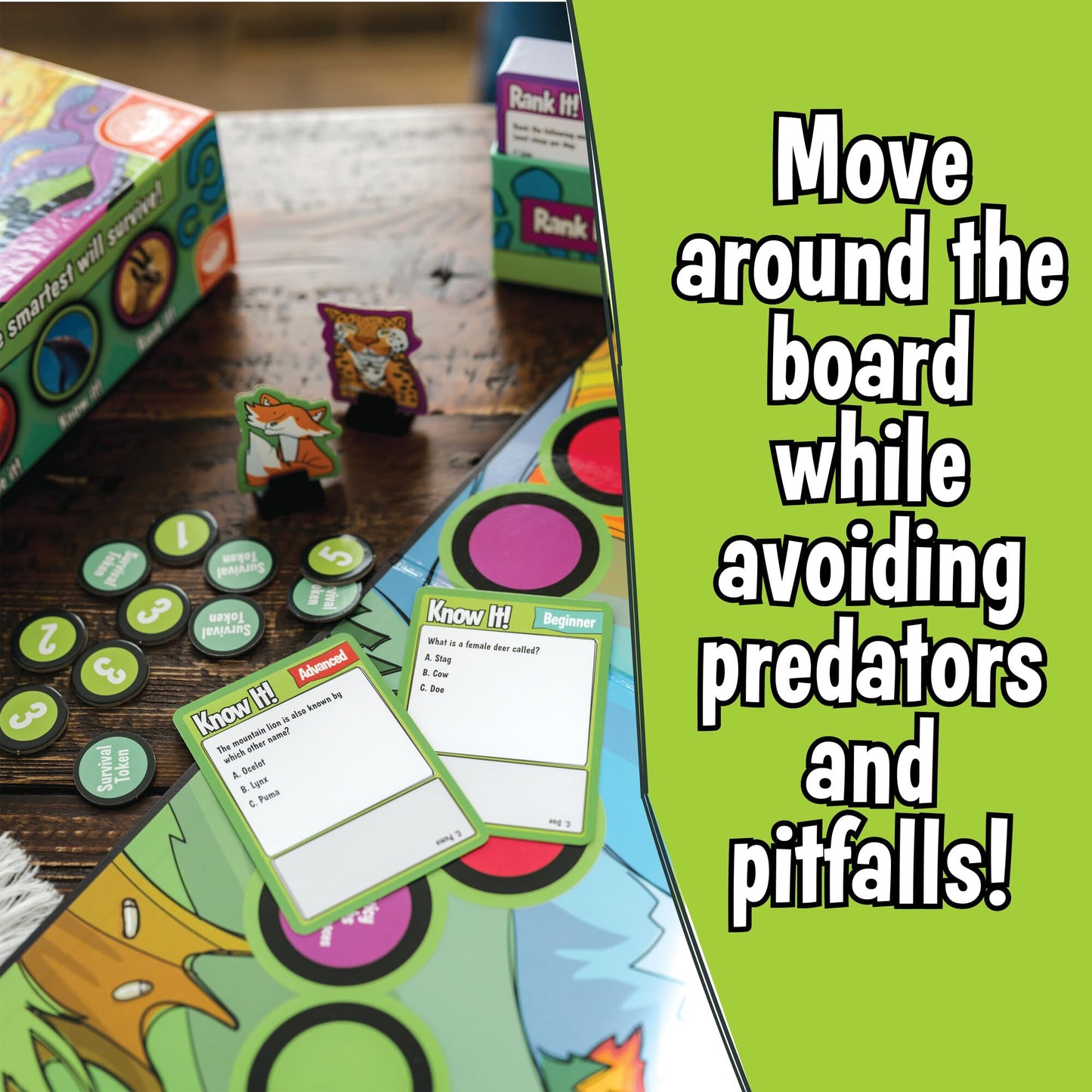 Mindware - Animal Trivia Challenge Game