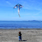 Kaiciuss Dragon Kite For Kids, Easy Flying Beach For Boys, 63    Large Line Delta With 67    Tail And 300 Ft String Handle