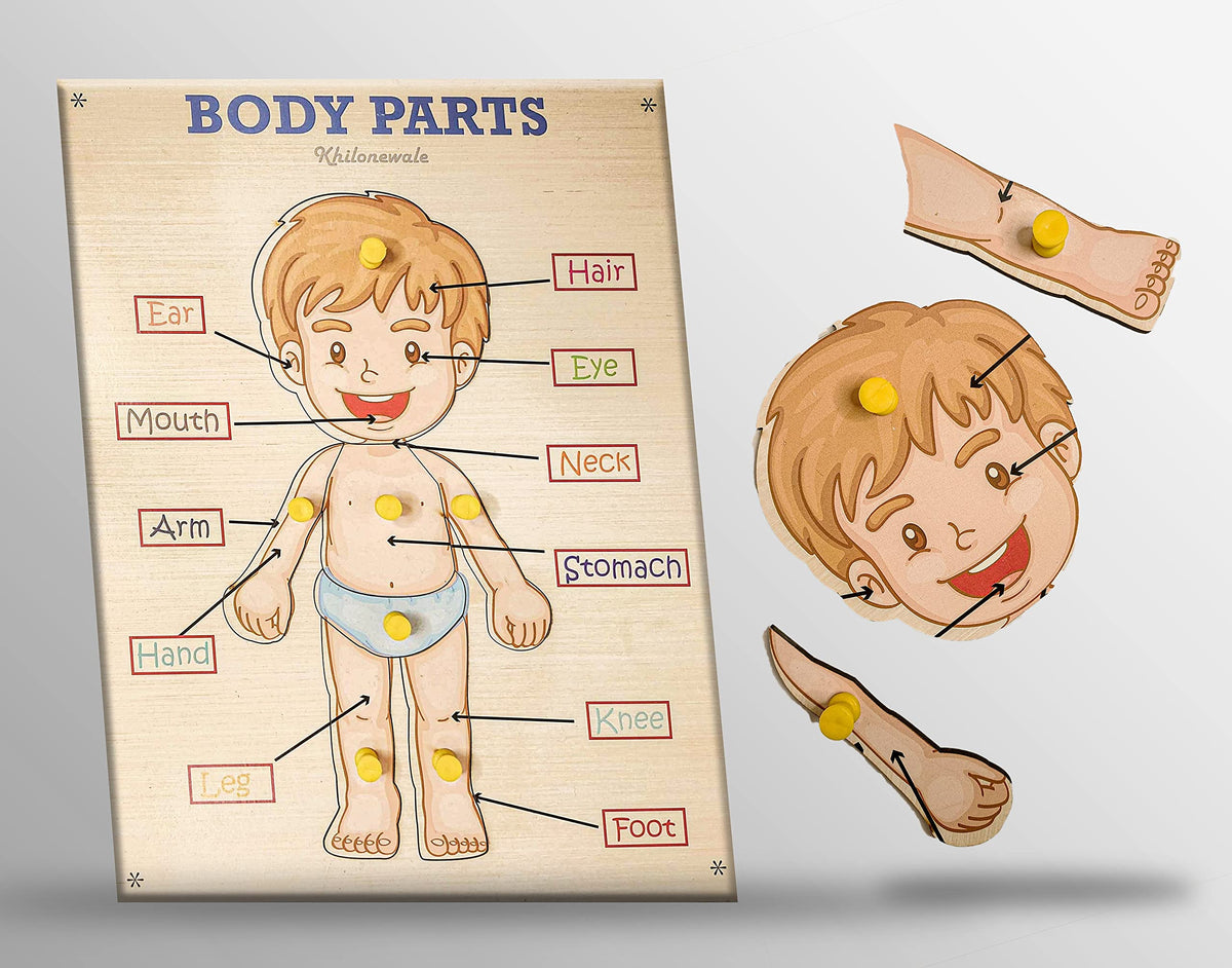 Khilonewale Kids Wooden Puzzles Toddlers Parts of Body (Human Body) Puzzles with Knobs, Educational Puzzle,Learning Aid for Boy