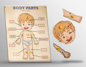 Khilonewale Kids Wooden Puzzles Toddlers Parts of Body (Human Body) Puzzles with Knobs, Educational Puzzle,Learning Aid for Boy