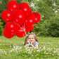 Treasures Gifted Matte Red Balloons - Dark Red Balloons - Ruby Red Balloons - Cherry Red Latex Balloons - Crimson Latex Balloons