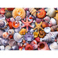 500 Pieces Jigsaw Puzzles For Adults-Colorful Beach Shells Puzzle For Adults Children Elderly-Recycled Paper Puzzle 500 Pieces-G