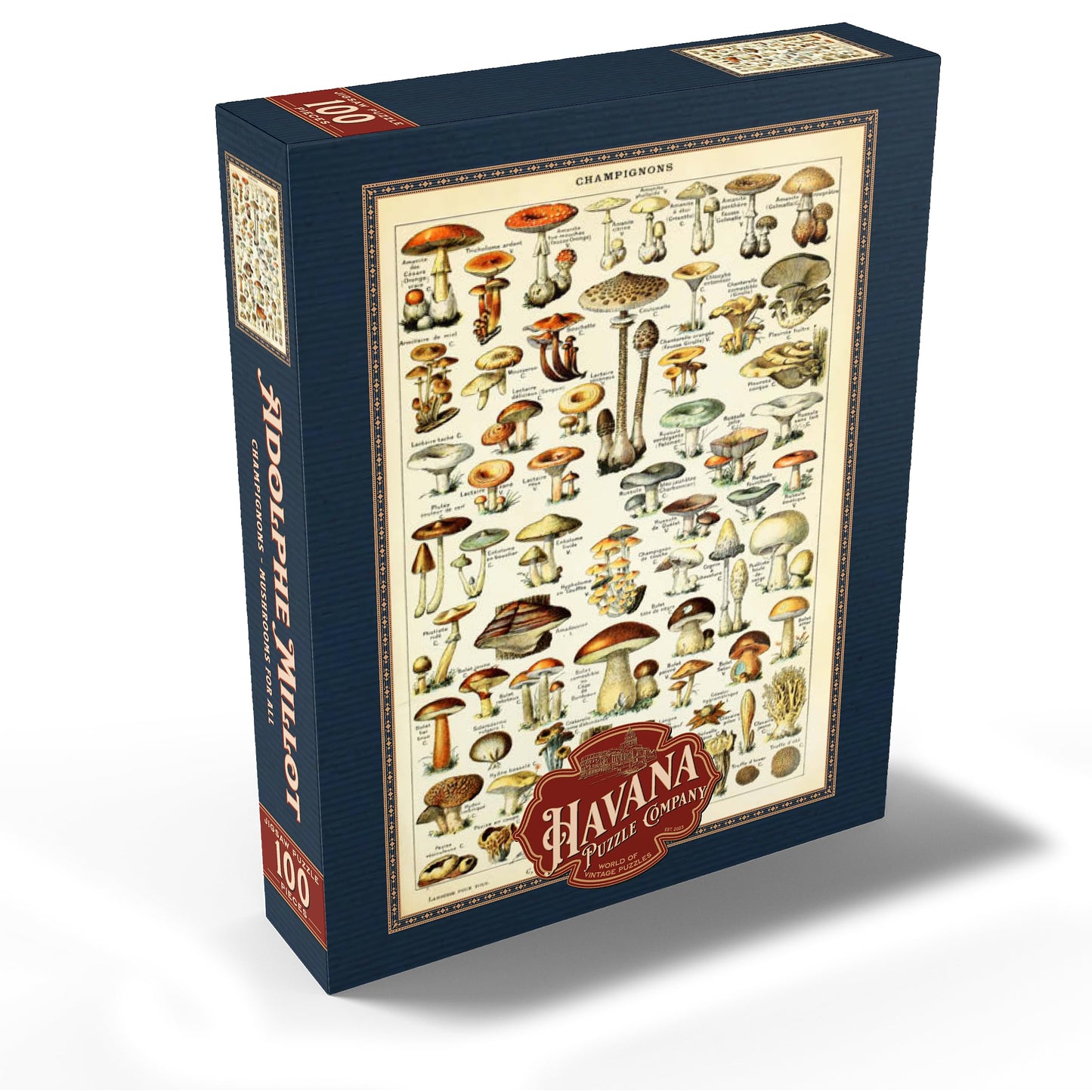 Mypuzzle Champignons - Mushrooms For All, Vintage Art Poster, Adolphe Millot - Premium 100 Piece Jigsaw Puzzle For Adults