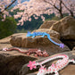 zhancydeal 3D Printed Cherry Blossom Crystal Dragons (Purple Blue)