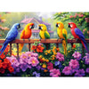 300 Piece Puzzles for mature-themed  Colorful Parrots Jigsaw Puzzle 300 Pieces for mature-themeds Kids Seniors  Beautiful Challenging Garden House mature-themeds Puzzle for Family and Friends Party Gifts 20.5?15 in