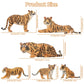 Toymany 6Pcs Realistic Tigers Figurines With Tiger Cubs, 2-6' Jungle Animals Figures Family Set, Educational Toy Cake Toppers Christmas Birthday Gift For Kids Toddlers