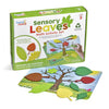 hand2mind Sensory Leaves Math Activity Set, Plastic, Medium, Counting Toy, Multi-Color (Green, Brown, Yellow, Orange, Red, Blue), Model 94460