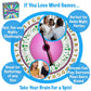 Game Development Group Wordplay Board Game – Fast-Paced Family Fun, Large, Multicolored, Model 11172