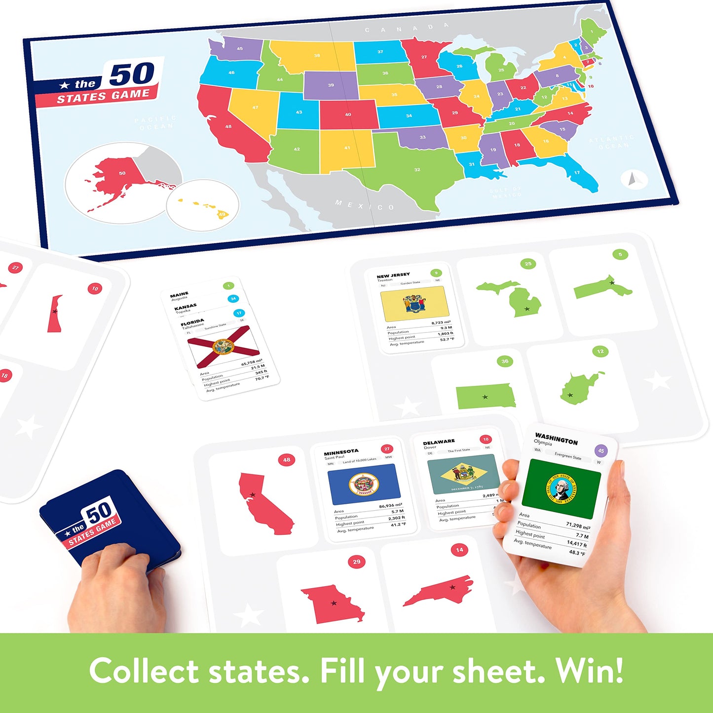The World Game The 50 States Game - US Geography Board Game for Kids & Adults - Educational Fun Learning - Multicolor