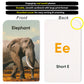 Think Tank Scholar Flash Cards For Preschool, Pre K And Kindergarten Set Of 5, 180 Cards - Learn Alphabets, Colors, Number, Shapes Animals & Sight Words - Educational Flashcards For Kids 2-5 Years