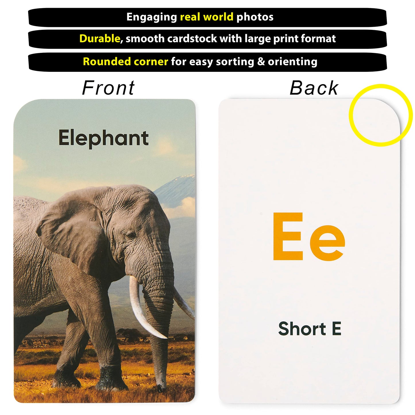 Think Tank Scholar Flash Cards For Preschool, Pre K And Kindergarten Set Of 5, 180 Cards - Learn Alphabets, Colors, Number, Shapes Animals & Sight Words - Educational Flashcards For Kids 2-5 Years