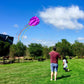 Kaiciuss Octopus Kite & Kite Reel Set, Easy To Fly For Beach Trip, Nice Winder For Kids & Adults, Single Line Frameless Style Wi