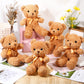 5 Pcs Bears Stuffed Animal Soft Plush Toys 12 Inches Cute Bear Small Shaggy Bear With Hoodie Bow Tie For Kids Boys Girls Baby Sh
