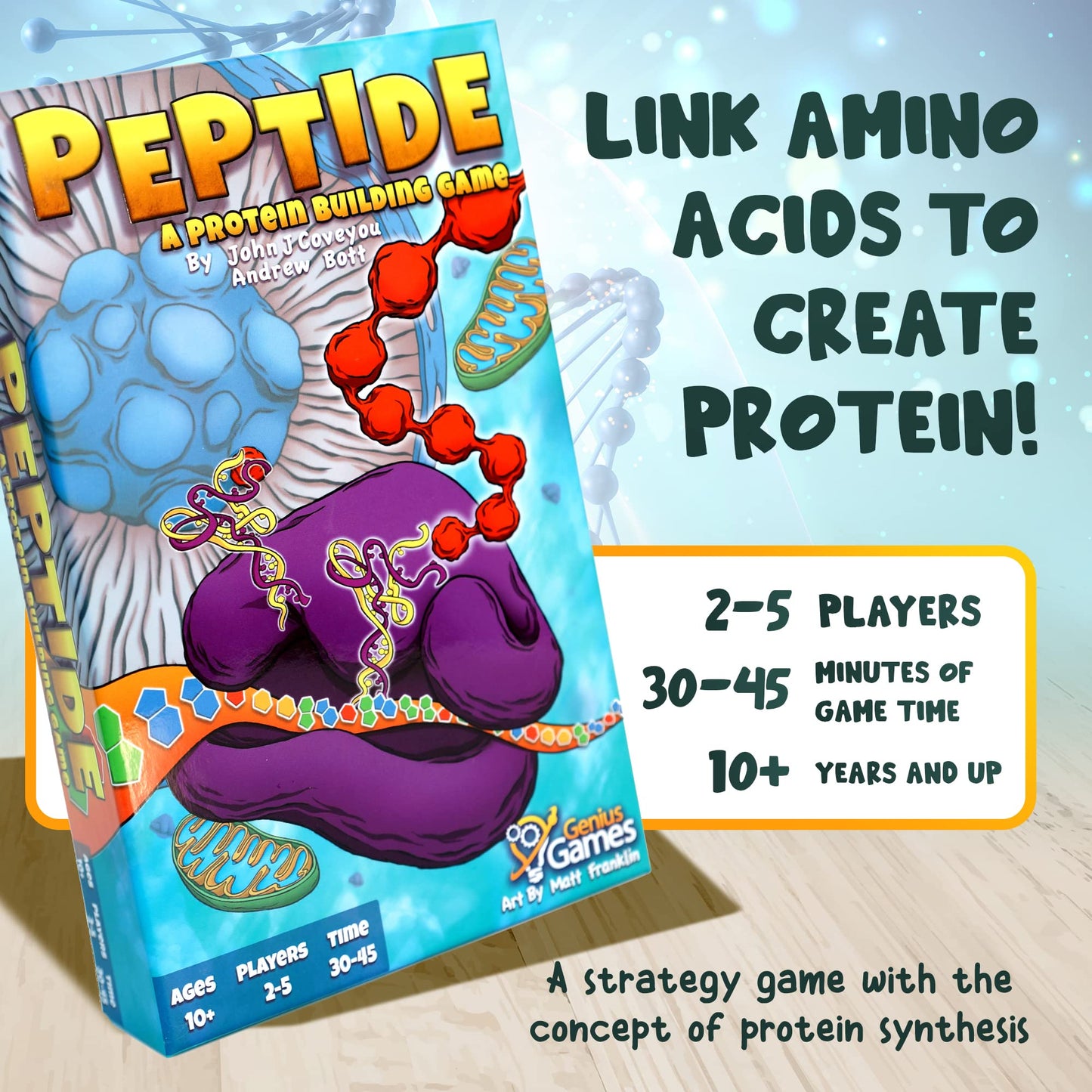 Genius Games Peptide Strategy Card Game | Teaches Amino Acids | Small Red Paper Model GOT1003