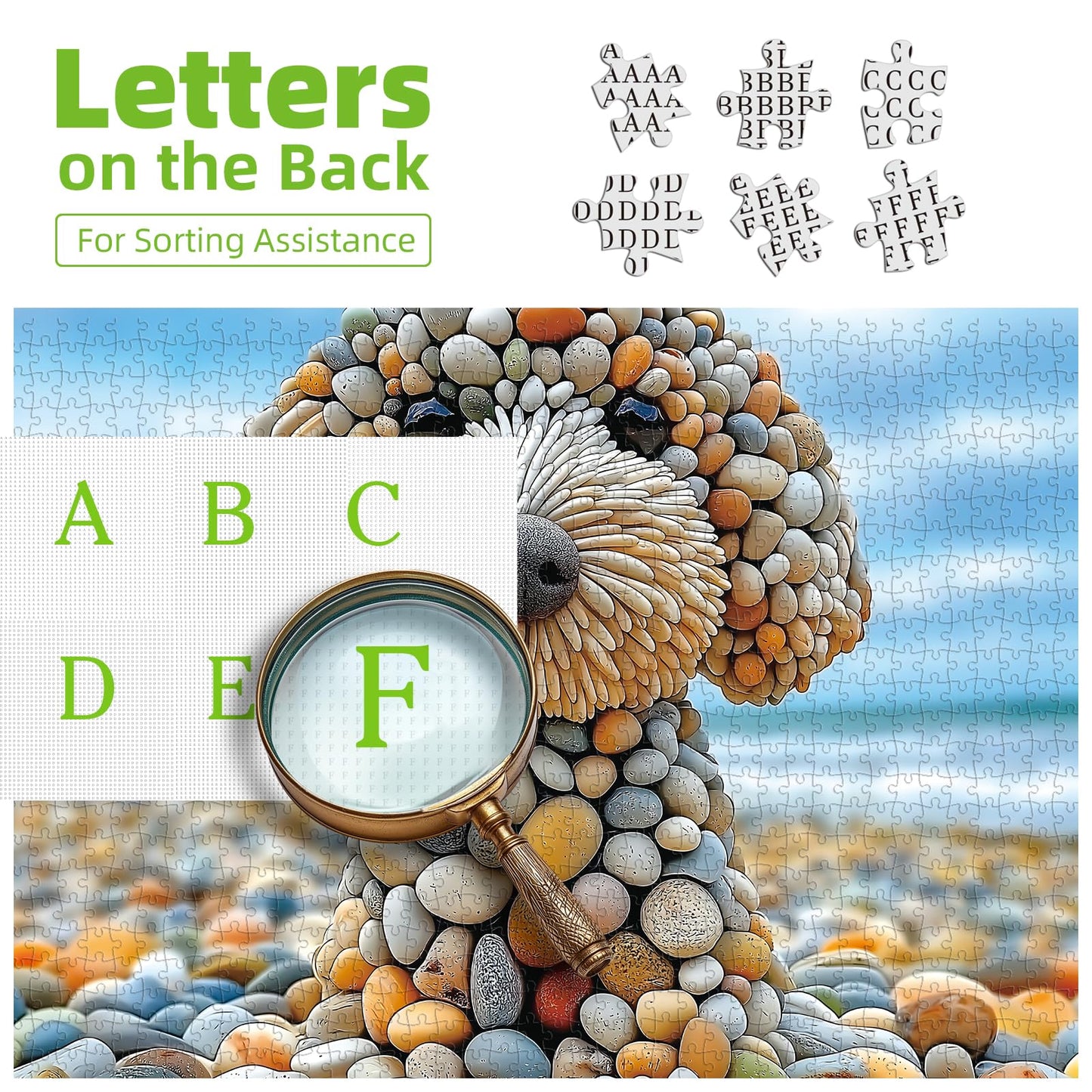 500 Piece Jigsaw Puzzles for mature-themeds - Beach Stone Dog Animal Art Puzzle for mature-themeds Challenging Fun Family Includes Poster & Dust-Free Pieces for Puzzle Lovers enhanced (23 x15 )