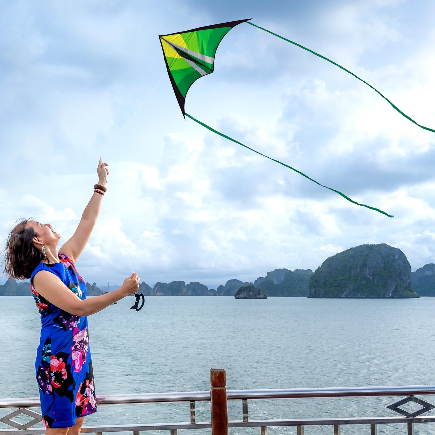 Lanrui Large Delta Kites For Kids & Adults, Easy To Fly Kite, Beginner Kite For Kids Ages 4-8,8-12(Green+Red)