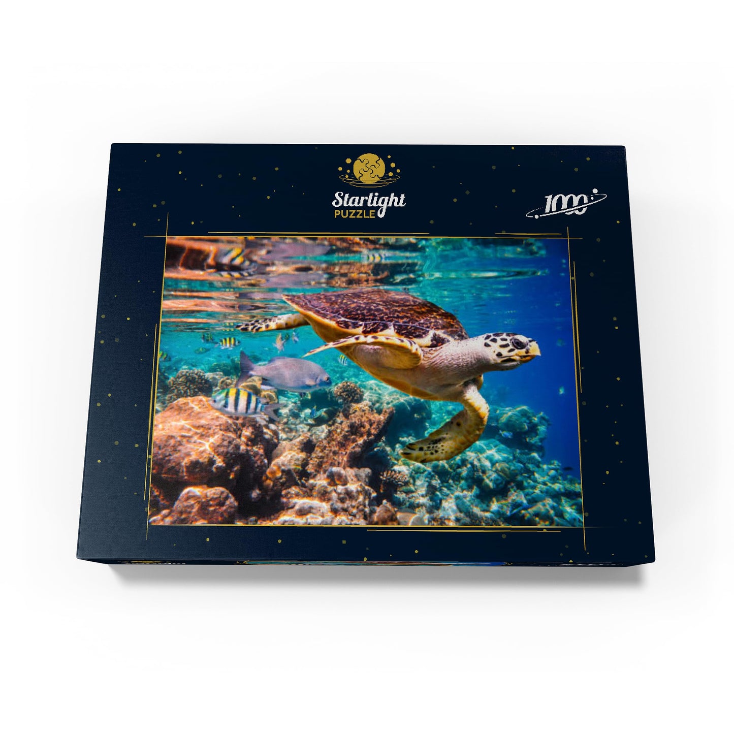 MyPuzzle.com 1000 Piece Colorful Cardboard Jigsaw Puzzle - Hawksbill Turtle Maldives for Adults