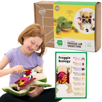 Kiwico Froggie Lab Dissection, Frog Plush Toy | Anatomy Learning Toy & Stuffed Animal For Fun And Educational Play | Science Toy