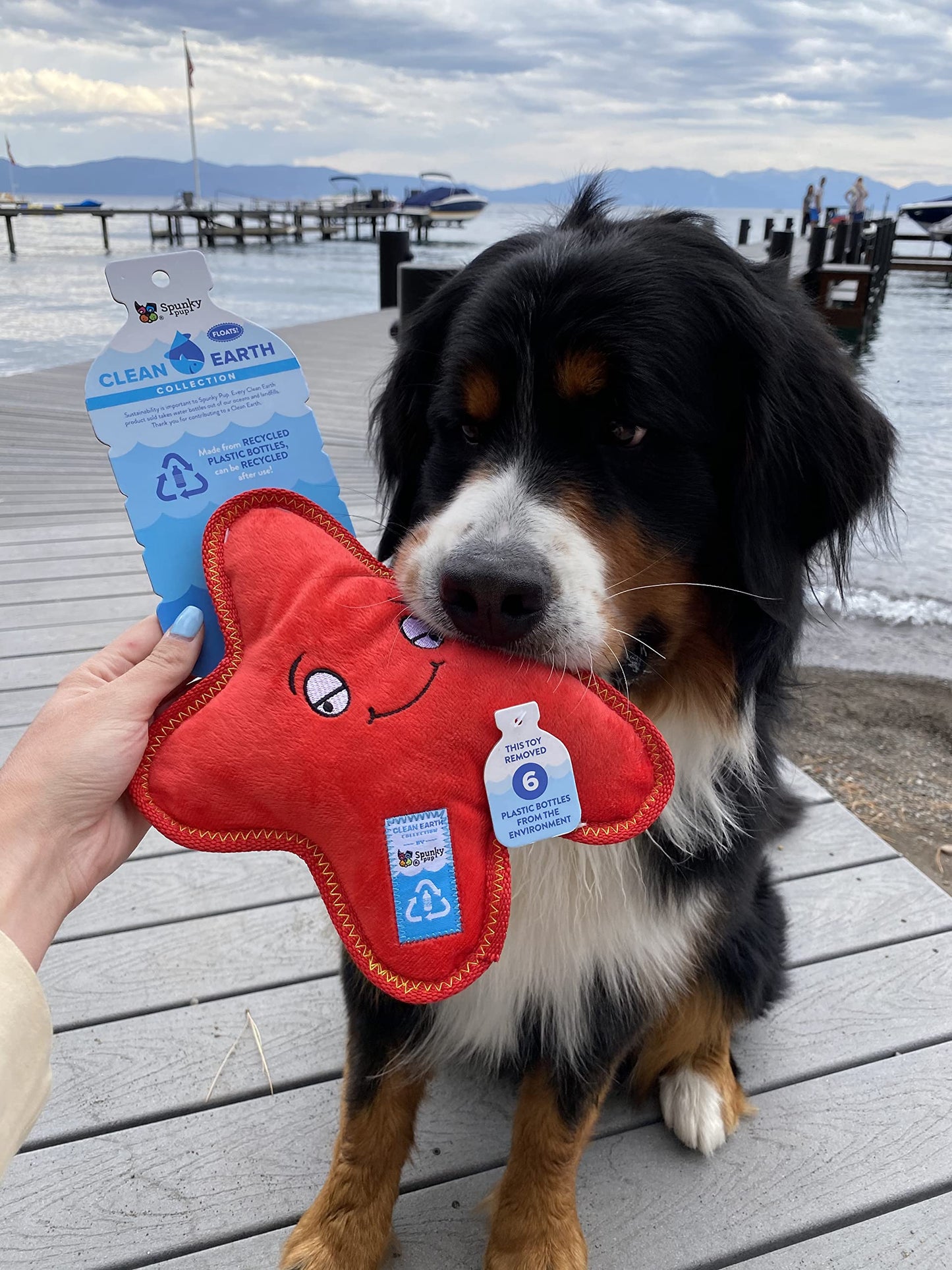 Spunky Pup Clean Earth Plush Starfish | Made From 100% Recycled Water Bottles | Small