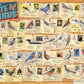 American State Birds By David Sibley