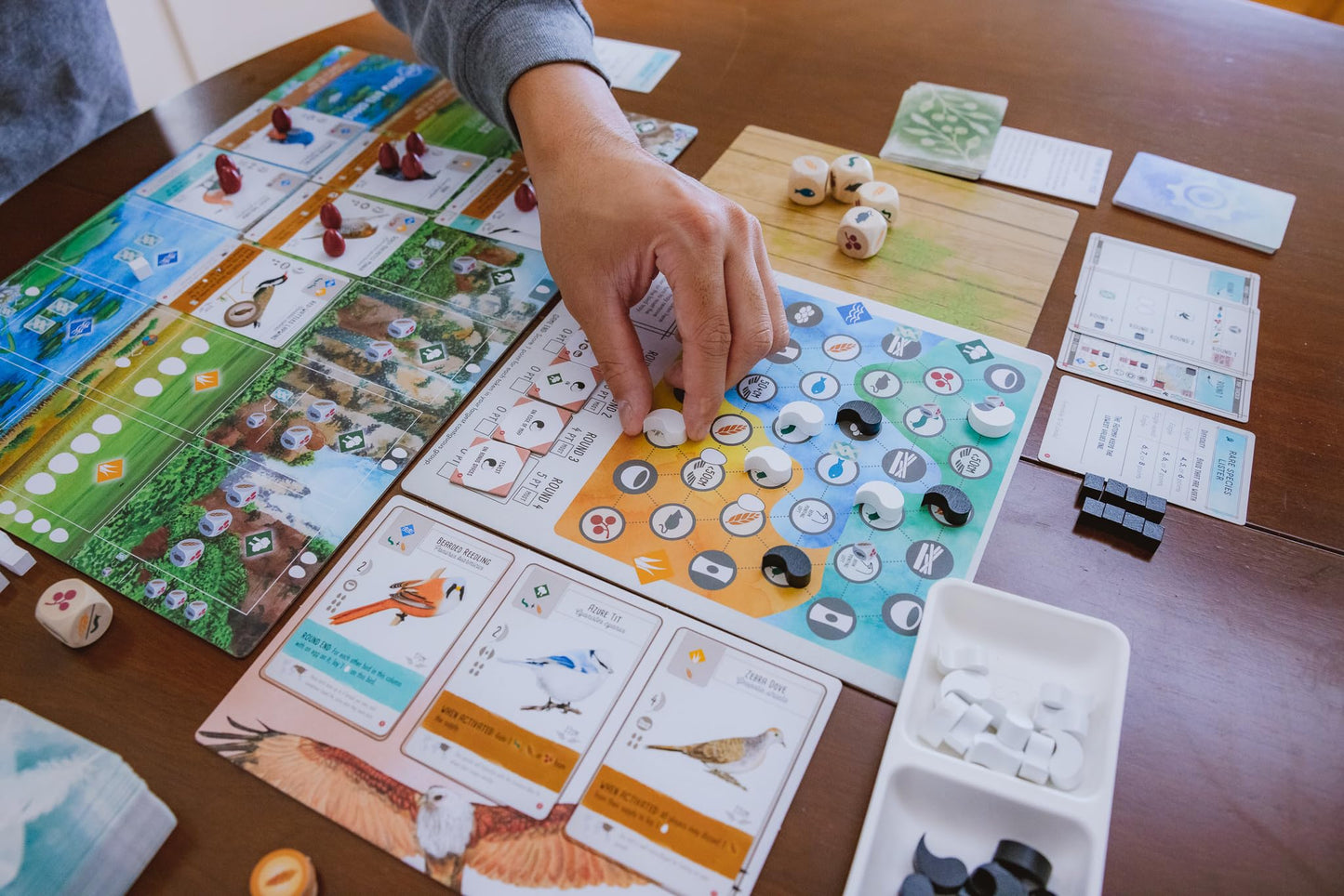 Stonemaier Games: Wingspan Asia | Standalone Game or Expansion to Wingspan (Base Game) | Great for Solo Play or 2 Player | Add t