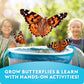 National Geographic Ultimate Butterfly Growing Kit - Butterfly Activity Kit With Voucher For 5 Live Caterpillars, Butterfly Cage