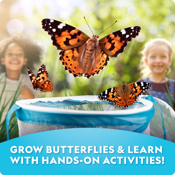 National Geographic Ultimate Butterfly Growing Kit - Butterfly Activity Kit With Voucher For 5 Live Caterpillars, Butterfly Cage