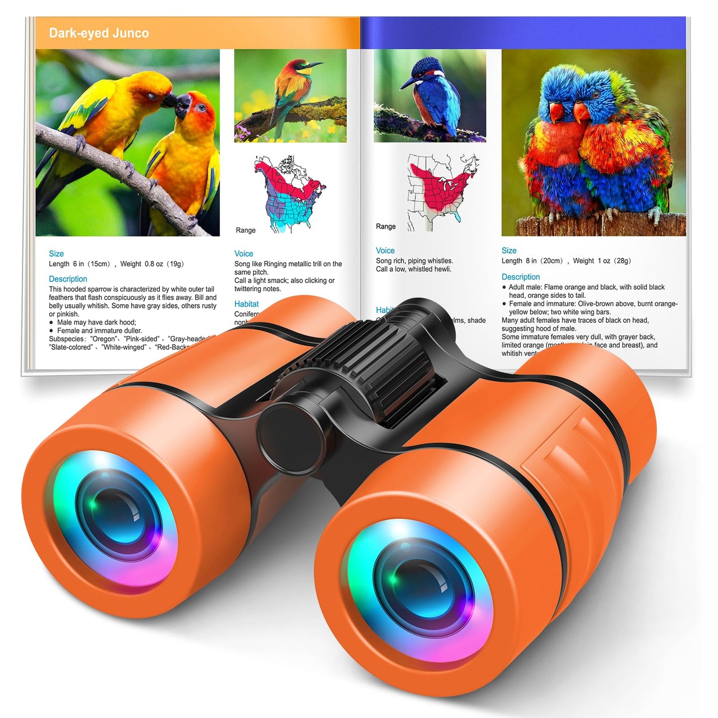 LET'S GO! Shockproof Binoculars for Kids, 4x30, Orange, Perfect for Bird Watching, Camping & Hiking, Ages 3-8