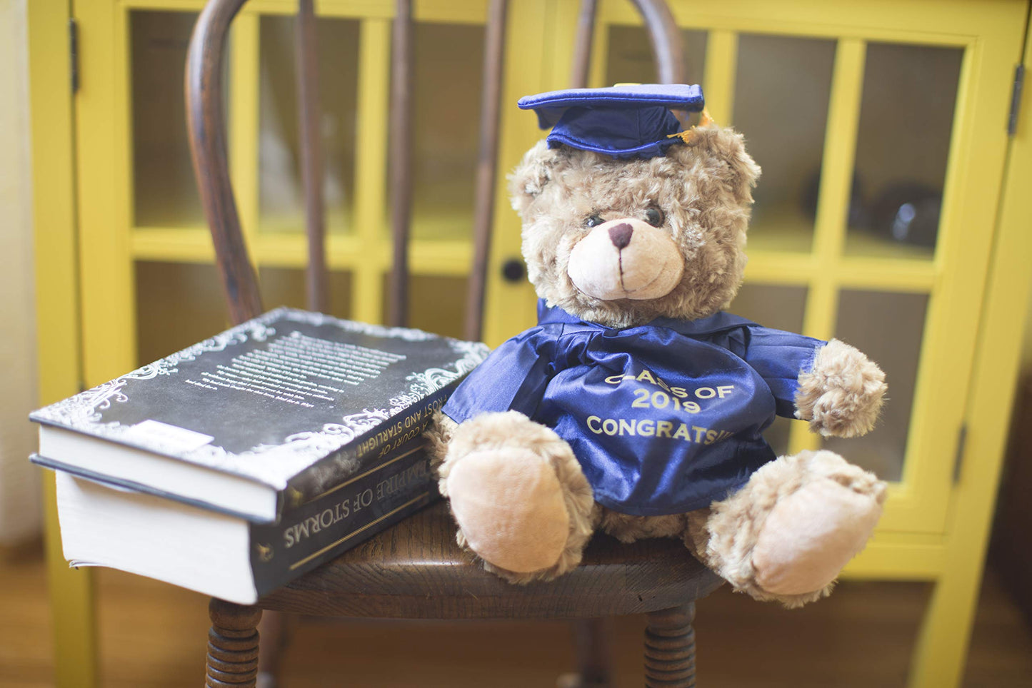 Plushland Plush Stuffed Animal Toys 12 Inches Present Gifts for Graduation Day  Personalized Text  Name or Your School Logo on Gown  Best for Any Grad School Kids (Purple Gown)