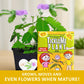 TickleMe Plant Classroom or Homeschool Science Fun Planting Party Kit - for 30 Students - Grow a Sensitive Plant That Reacts to