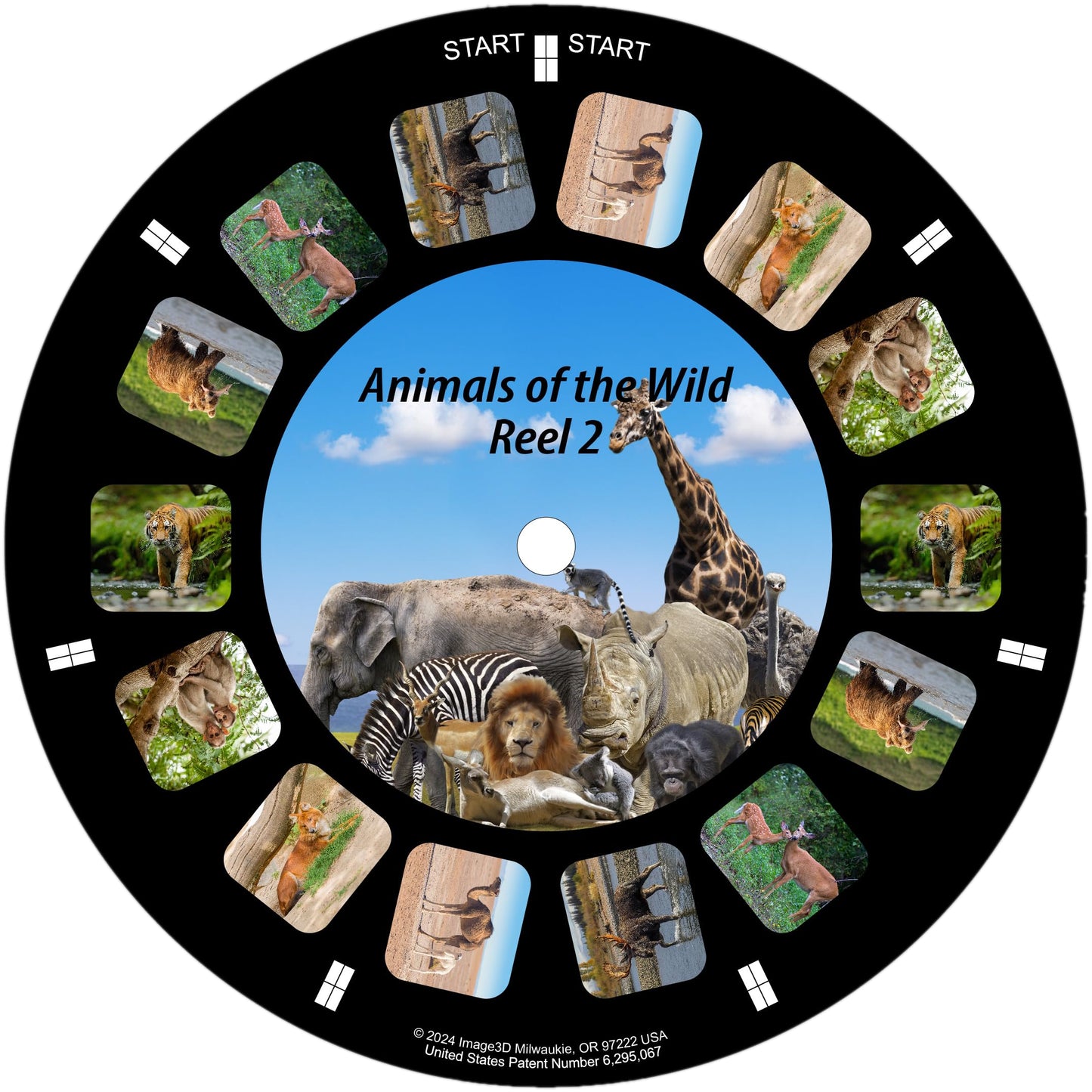 Animals of The Wild, Viewfinder reels with 3D Images (Set of 3 Reels) 21-3D Images Compatible with Classic Viewmaster and Image3
