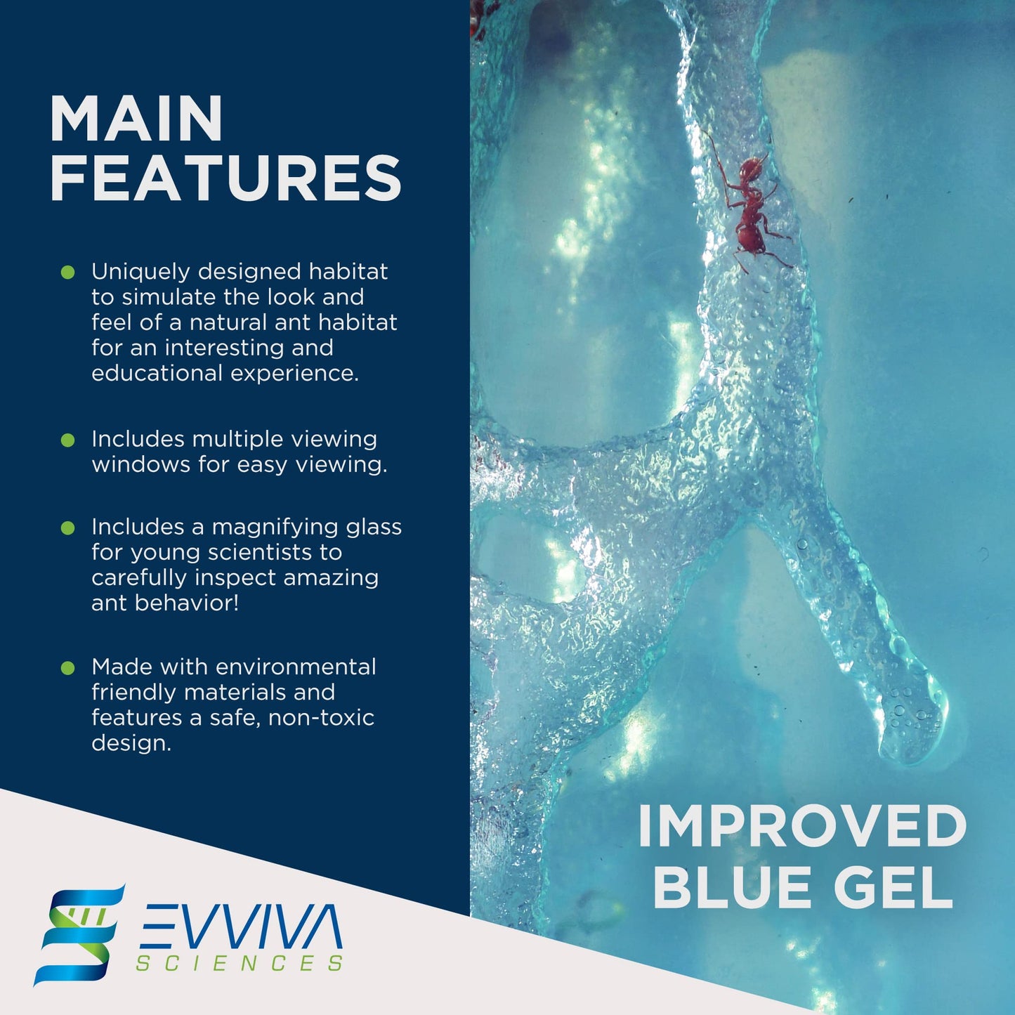 Evviva Ant Habitat W/Led Light. Enjoy A Magnificent Habitat. Great For Kids & Adults. Evviva Ant Ecosystem W/Enhanced Blue Gel.