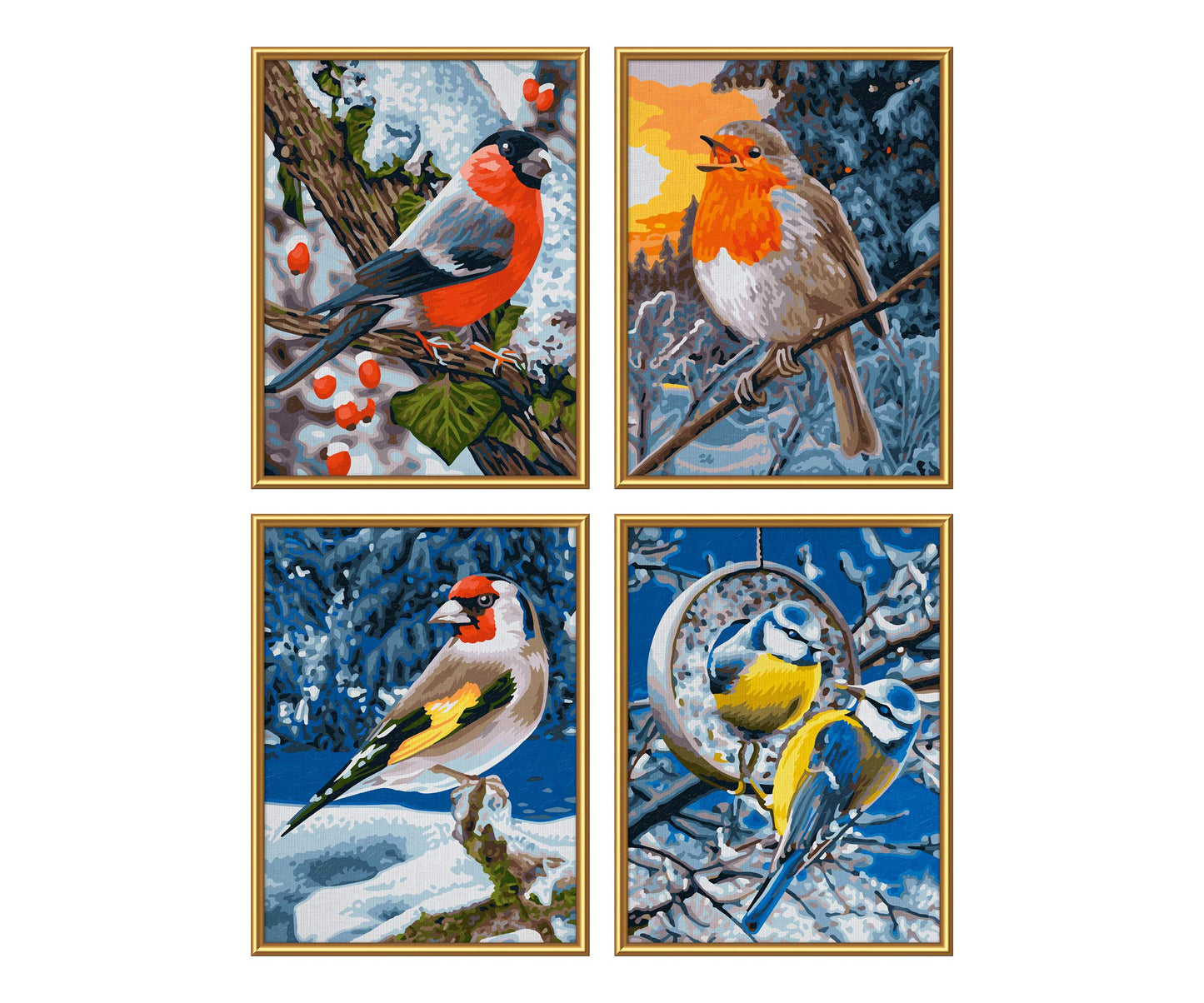 NORRIS Paint by#S: Winter Birds (Quattro) Paint by#
