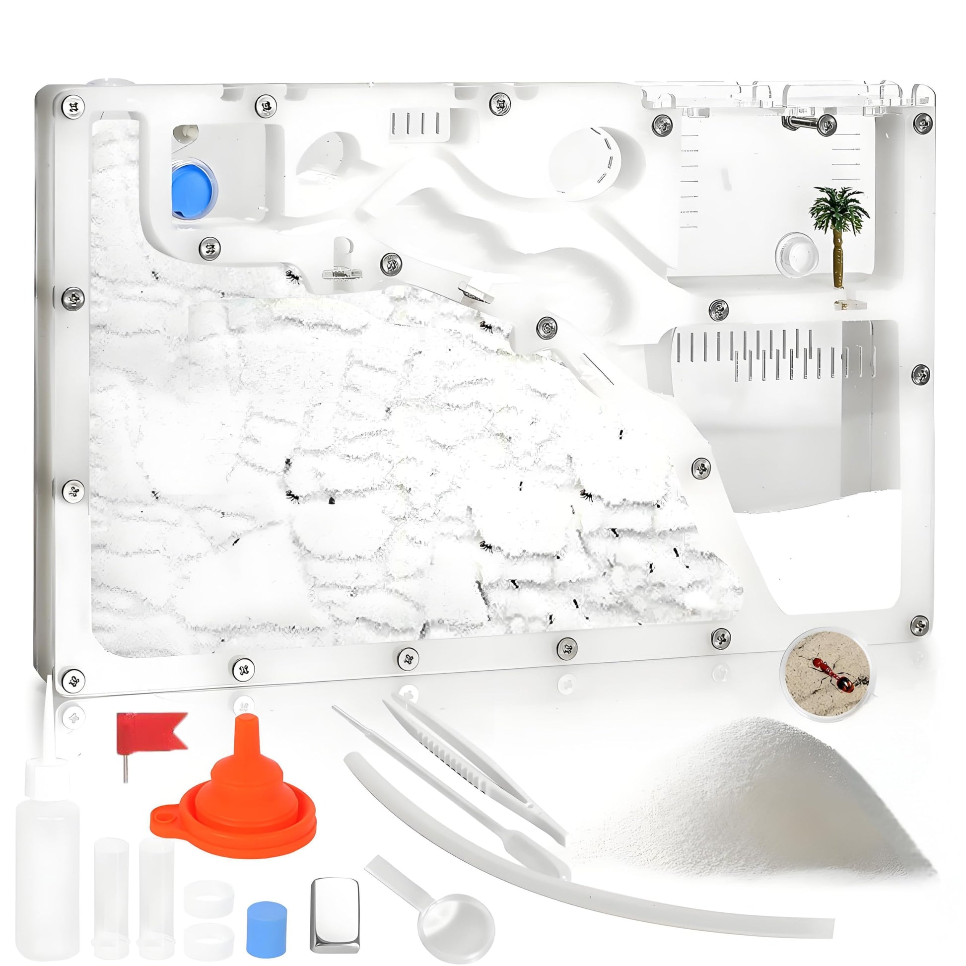 Blevla Ant Farms with Connections  Ant Farms for Kids & mature-themed  Live Ants for Ant Farm Educational Science DIY Toy Kit - STEM Learning Toy - Great Gifts for Boys & Girls (House)