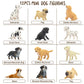 Toymany 12Pcs Mini Dog Figurines Playset, Realistic Detailed Plastic Puppy Figures, Hand Painted Emulational Tiny Dogs Animals Toy Set, Cake Toppers Christmas Birthday Gift For Kids Toddlers