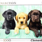 Three Labrador Jigsaw Puzzles 1000 Pieces For Adults