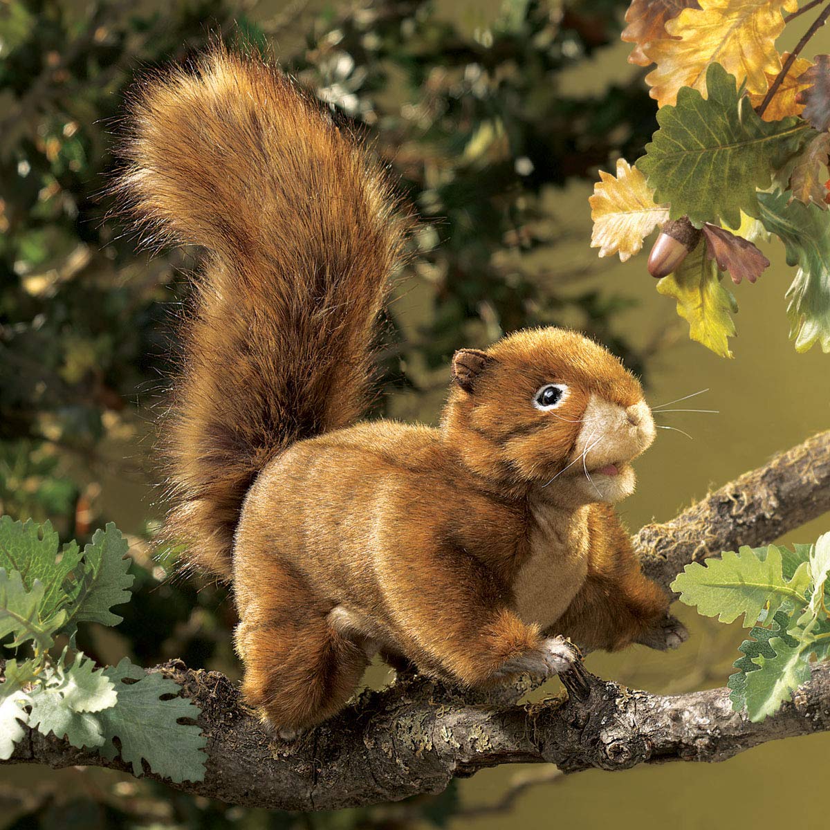 Folkmanis Red Squirrel Hand Puppet, 1 Ea