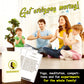 Artagia Mindfulness Games For Kids, Fun Family Game, Educational Games For Kids, Parent Child Bonding Time.