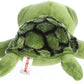 Aurora® Enchanting Dreamy Eyes™ Slide Sea Turtle Stuffed Animal - Captivating Gaze - Aesthetic Appeal - Green 10 Inches