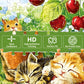2 Pack 300 Piece Puzzle for Adults, Kittens Puppies Jigsaw Puzzle for Adults Teens,Large Piece Puzzle for Kids Ages 8-10 10-12,G