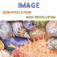 Colorful Seashell Puzzle For Adult 1000 Piece, Ocean Beach Puzzle 1000 Pieces For Adult, Marine Jigsaw Puzzles Hawaii 1000 Piece For Adult