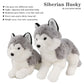 Ice King Bear Lifelike Siberian Husky Stuffed Animal - Plush Toy - 13 Inches Length (Original)