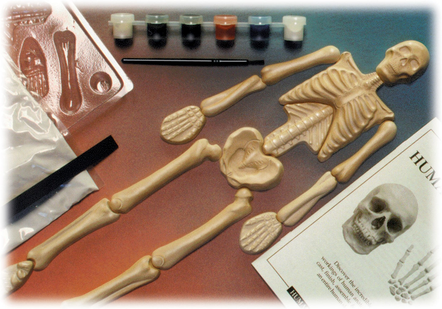 Skullduggery Eyewitness Kit Humanworks Casting Kit