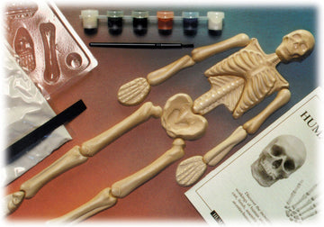 Skullduggery Eyewitness Kit Humanworks Casting Kit