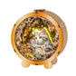 3D Wooden Puzzle Night Light, Elegant Ragdoll Cat Diy Puzzles For Adults, Eye Care Night Light With Touchable Switch, Personaliz