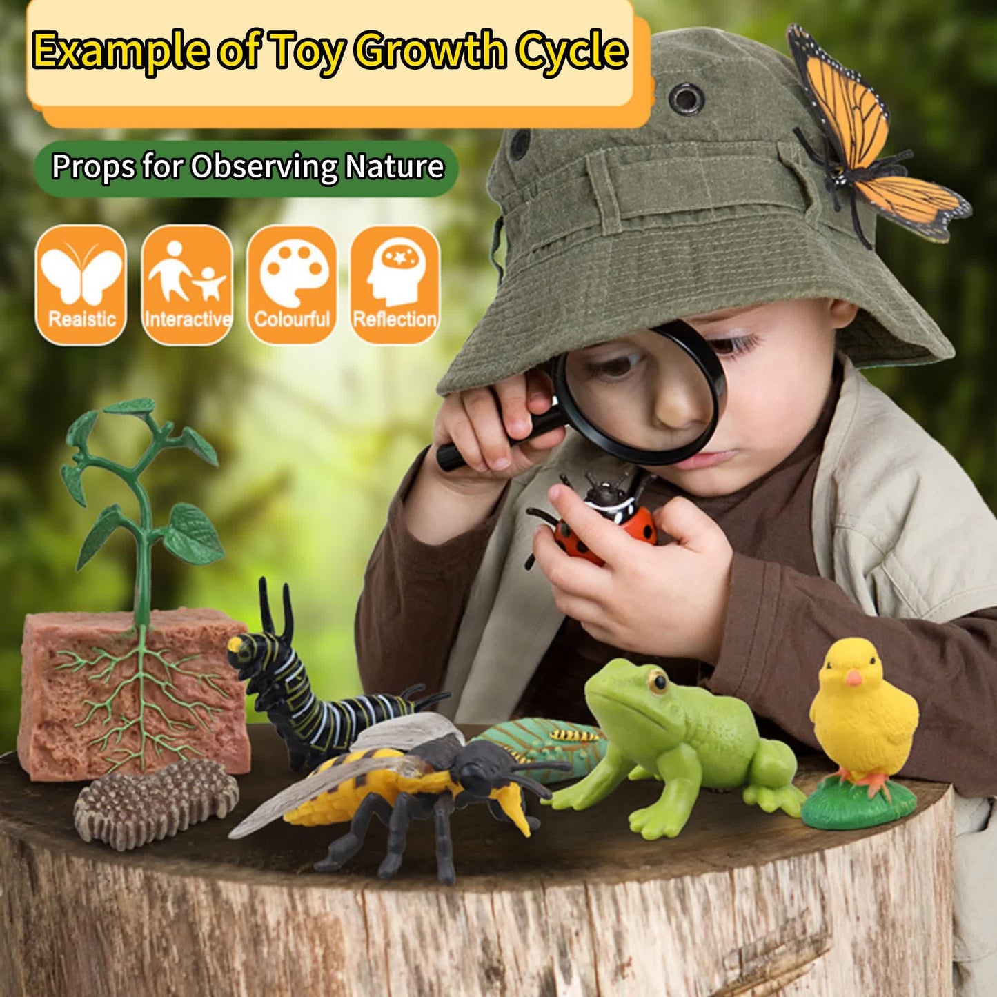 Montessori Life Cycle Animal Figures With Flash Cards, Realistic Animal Figurines Toy, And Educational Matching Game For Kids (P