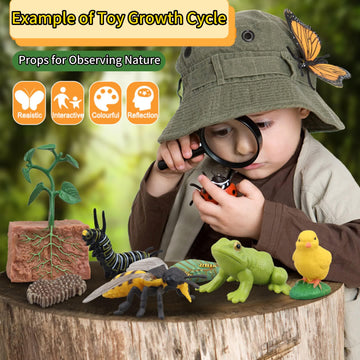 Montessori Life Cycle Animal Figures With Flash Cards, Realistic Animal Figurines Toy, And Educational Matching Game For Kids (P