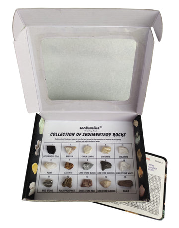 Rocksmins Sr15Wm Collection Set Of 15 Sedimentary Rocks For School Education Rocks Samples Activity Geology Rock Memory Great Ed