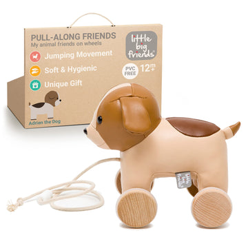 Little Big Friends Pull Along Friends | Pull Along Toy For Baby | Traditional Toys | Easy To Clean | Adrien The Dog